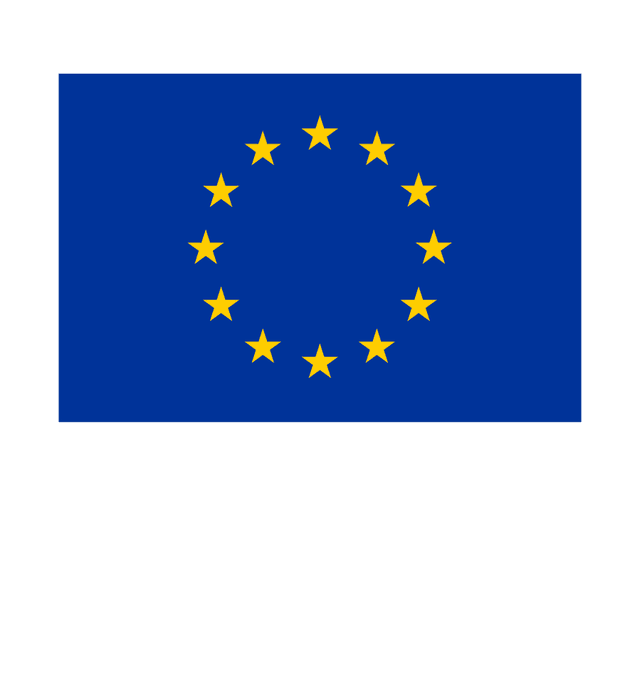 Co-funded by the European Union